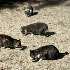 21位のイメージ