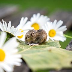 23位のイメージ