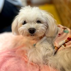 230位のイメージ