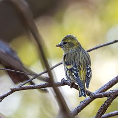 22位のイメージ