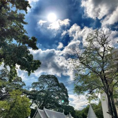 25位のイメージ