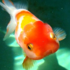 18位のイメージ