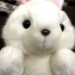 89位のイメージ