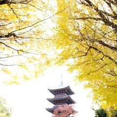 71位のイメージ