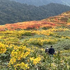 25位のイメージ