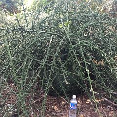 14位のイメージ