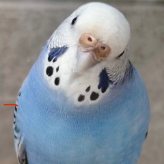 26位のイメージ