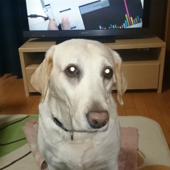 146位のイメージ