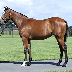 86位のイメージ