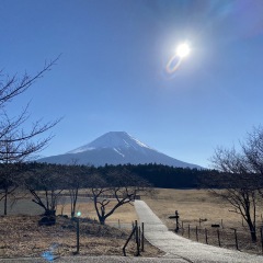 81位のイメージ