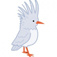 27位のイメージ