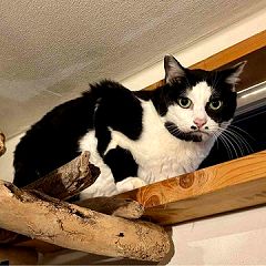 105位のイメージ