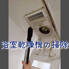 11位のイメージ