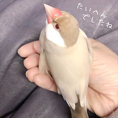 22位のイメージ