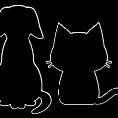 14位のイメージ