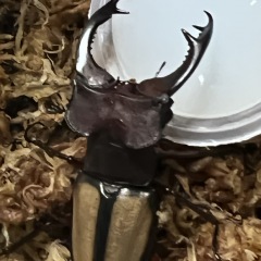 25位のイメージ