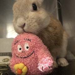 68位のイメージ