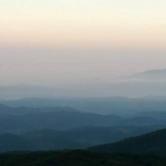 21位のイメージ