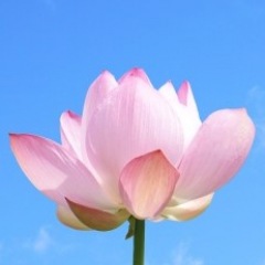 65位のイメージ