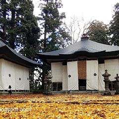 41位のイメージ