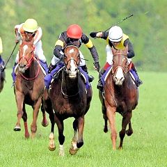 93位のイメージ