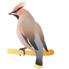 22位のイメージ