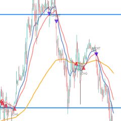 47位のイメージ