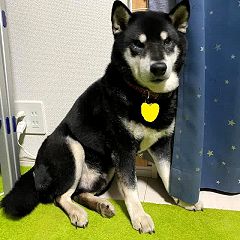 15位のイメージ