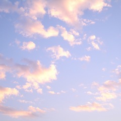 26位のイメージ