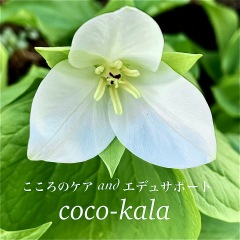 15位のイメージ