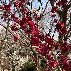 408位のイメージ