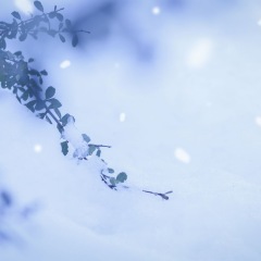 12位のイメージ