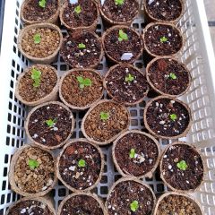 21位のイメージ