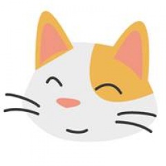 51位のイメージ