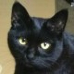 16位のイメージ