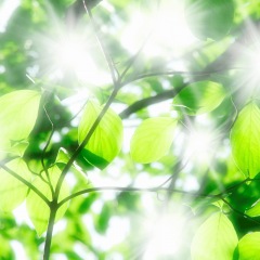 26位のイメージ