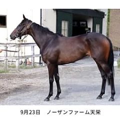 16位のイメージ