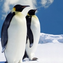 71位のイメージ