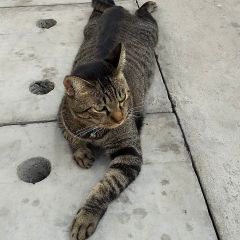 27位のイメージ