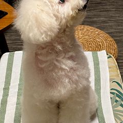 54位のイメージ