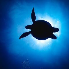 21位のイメージ