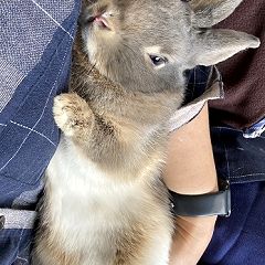 23位のイメージ