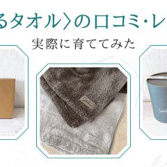 74位のイメージ