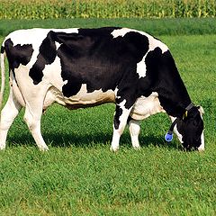 30位のイメージ