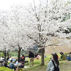 103位のイメージ