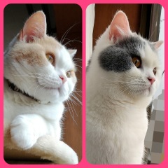 10位のイメージ