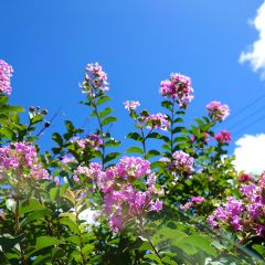 16位のイメージ