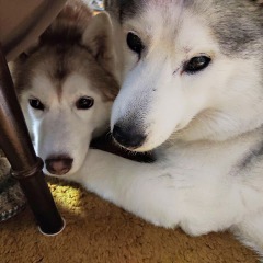 29位のイメージ