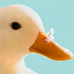 62位のイメージ