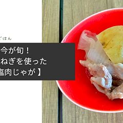 17位のイメージ